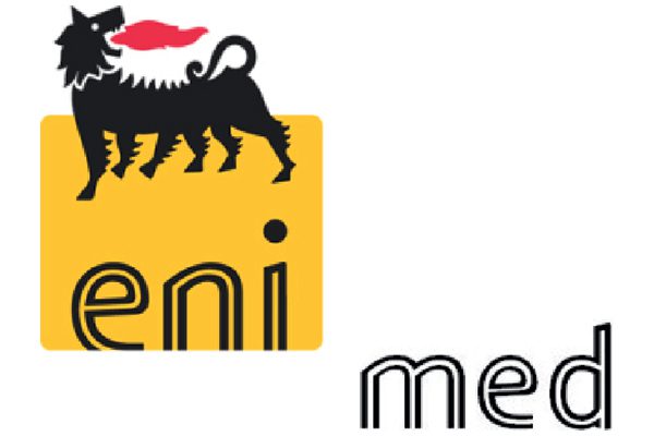 logo Enimed SpA